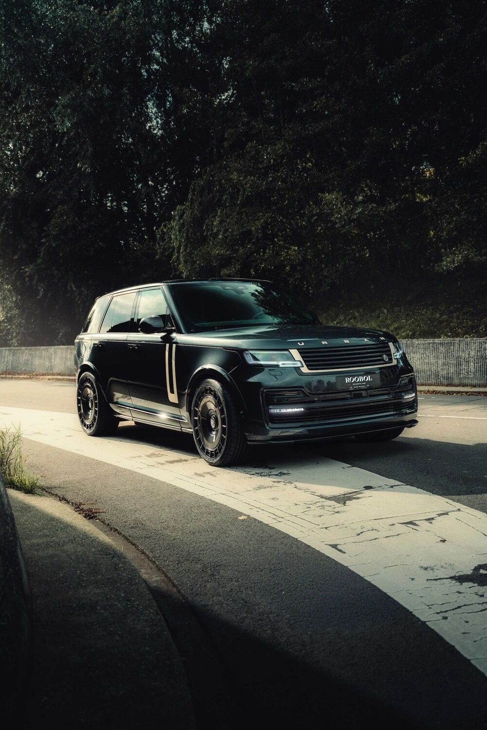 Range Rover Rico Verhoeven